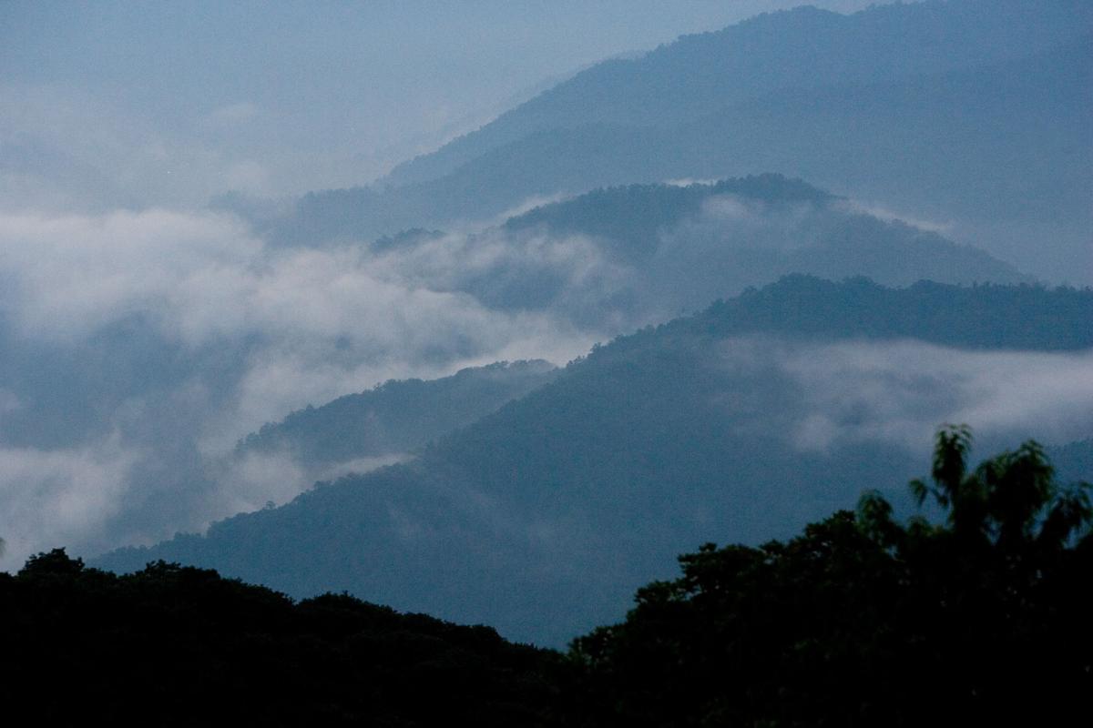 SMOKY MOUNTAINS (copy)