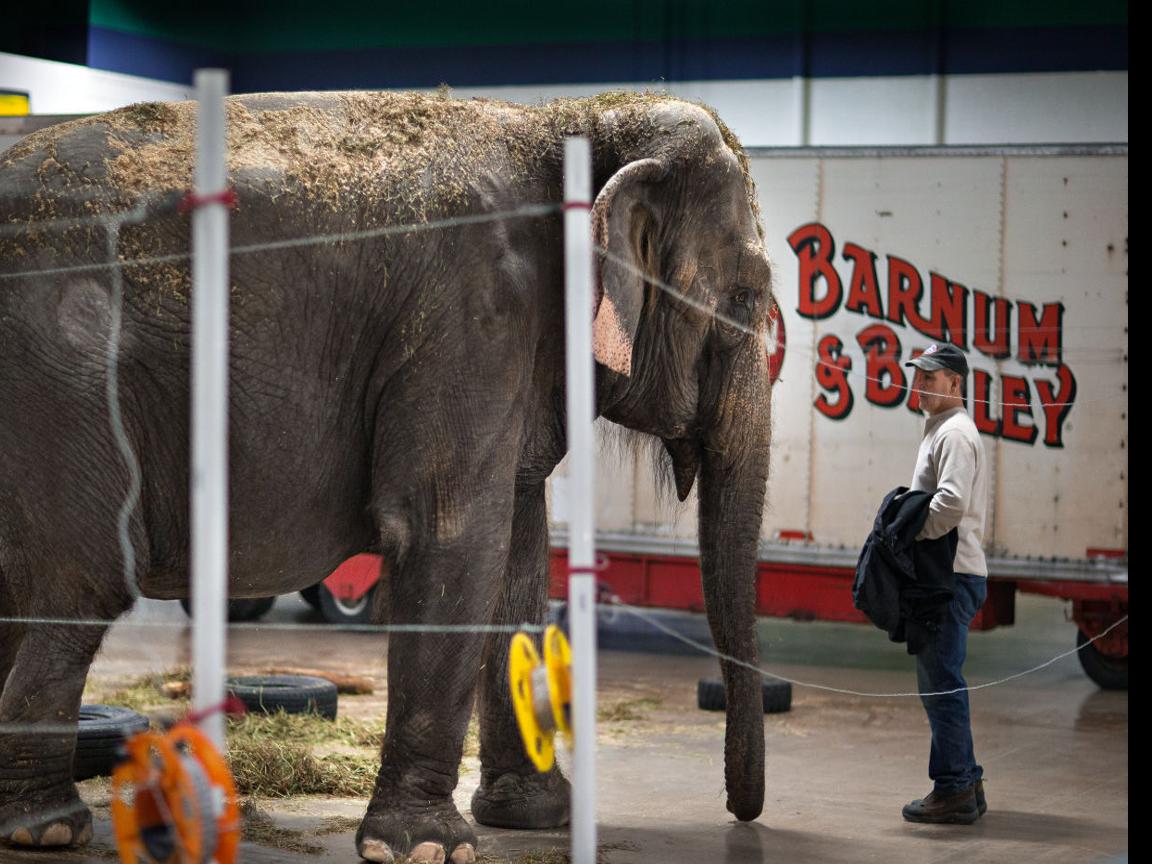 Update Ringling Bros Circus To Eliminate Elephant Acts Video Latest News Greensboro Com