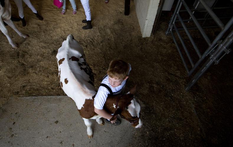 75th Annual Greensboro District Junior Dairy Show