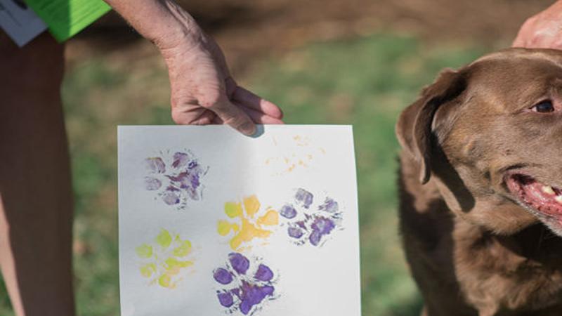 Greensboro Beautiful Combines Nature And Creativity In Annual Arts