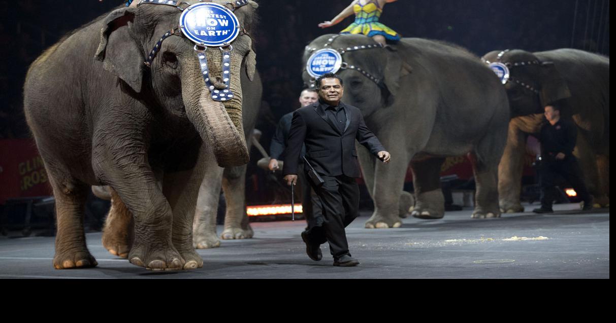 February brings last chance to see Ringling Bros. Circus in Greensboro