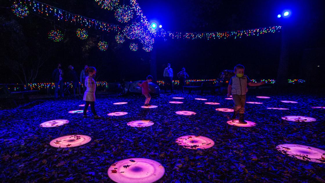 Photos Winter Wonderlights at the Greensboro Science Center Gallery