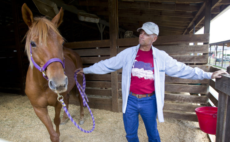horsepower  001jr sends.JPG