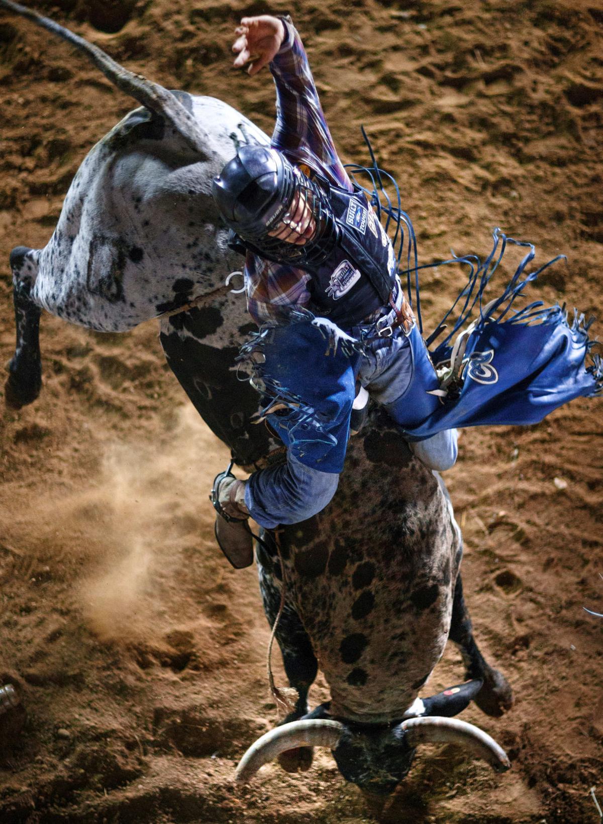Pro Rodeo Bull Riding Gallery