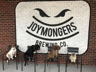 Dogs welcome here (copy)