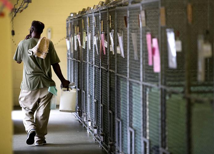 Guilford County Animal Shelter