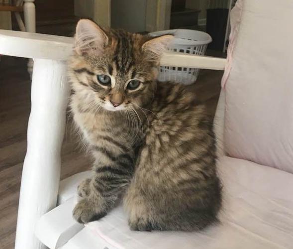 Coco