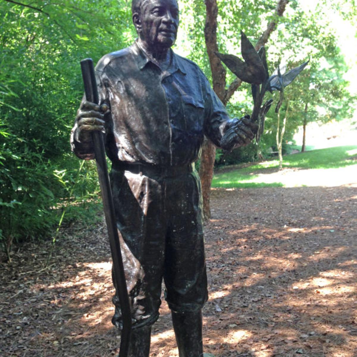 A New Era For The Bog Garden Botany Greensboro Com