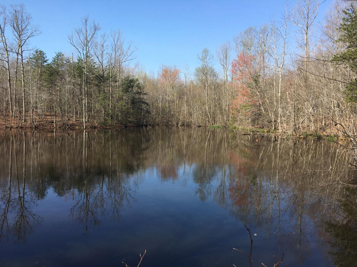 Officials celebrate new Dan River Game Land near Eden State and