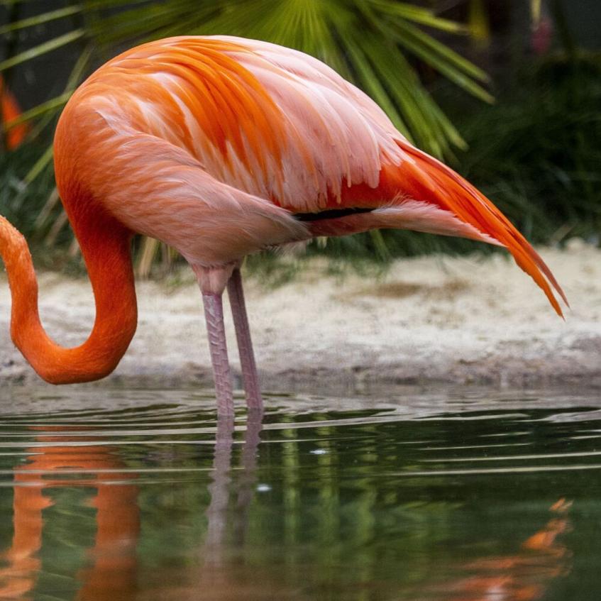 Talkin' about a Revolution: Years in the making, Greensboro ...