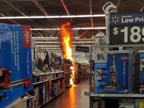 Pet therapy video Pet therapy video