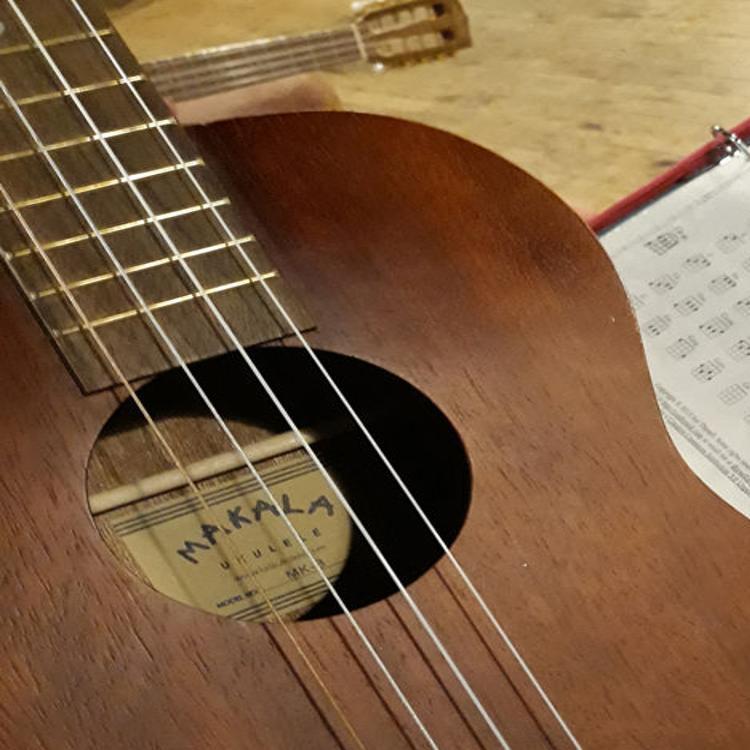 Triad Ukulele Pays Tribute To The Plucky Stringed Instrument