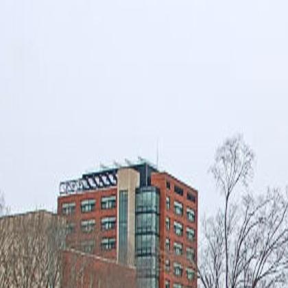 greensboro news and record