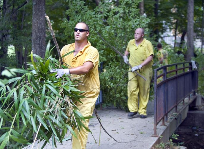 cleanup_082509_work_sh2008_