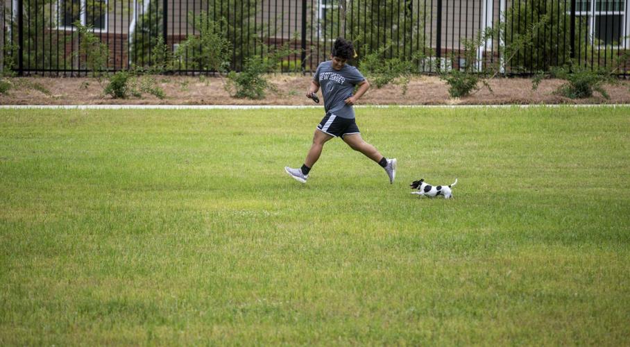 Henry Street is billed as the city's first 'multigenerational' park