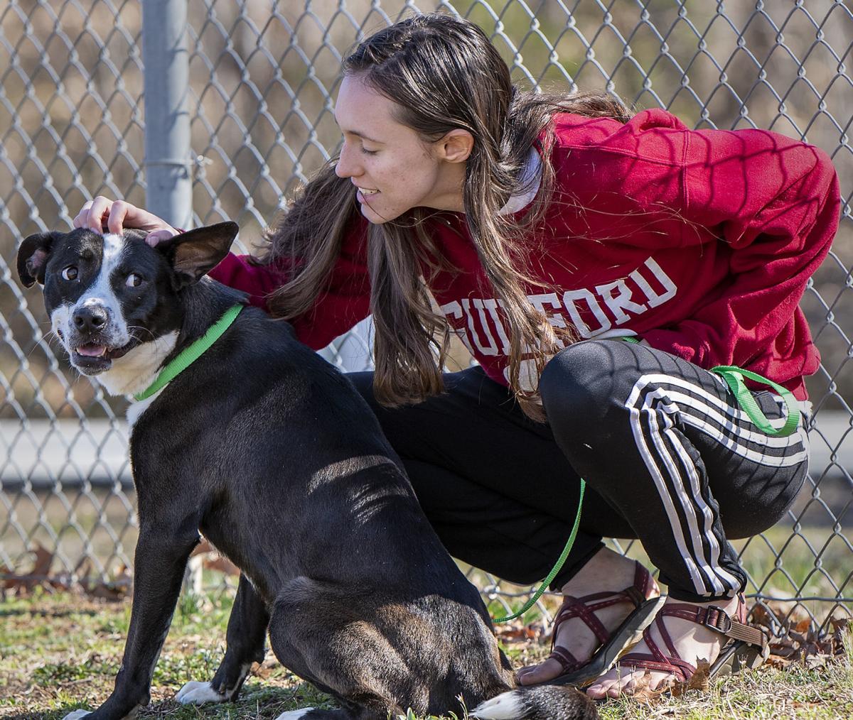 New leader pumping new life into Guilford animal shelter ...