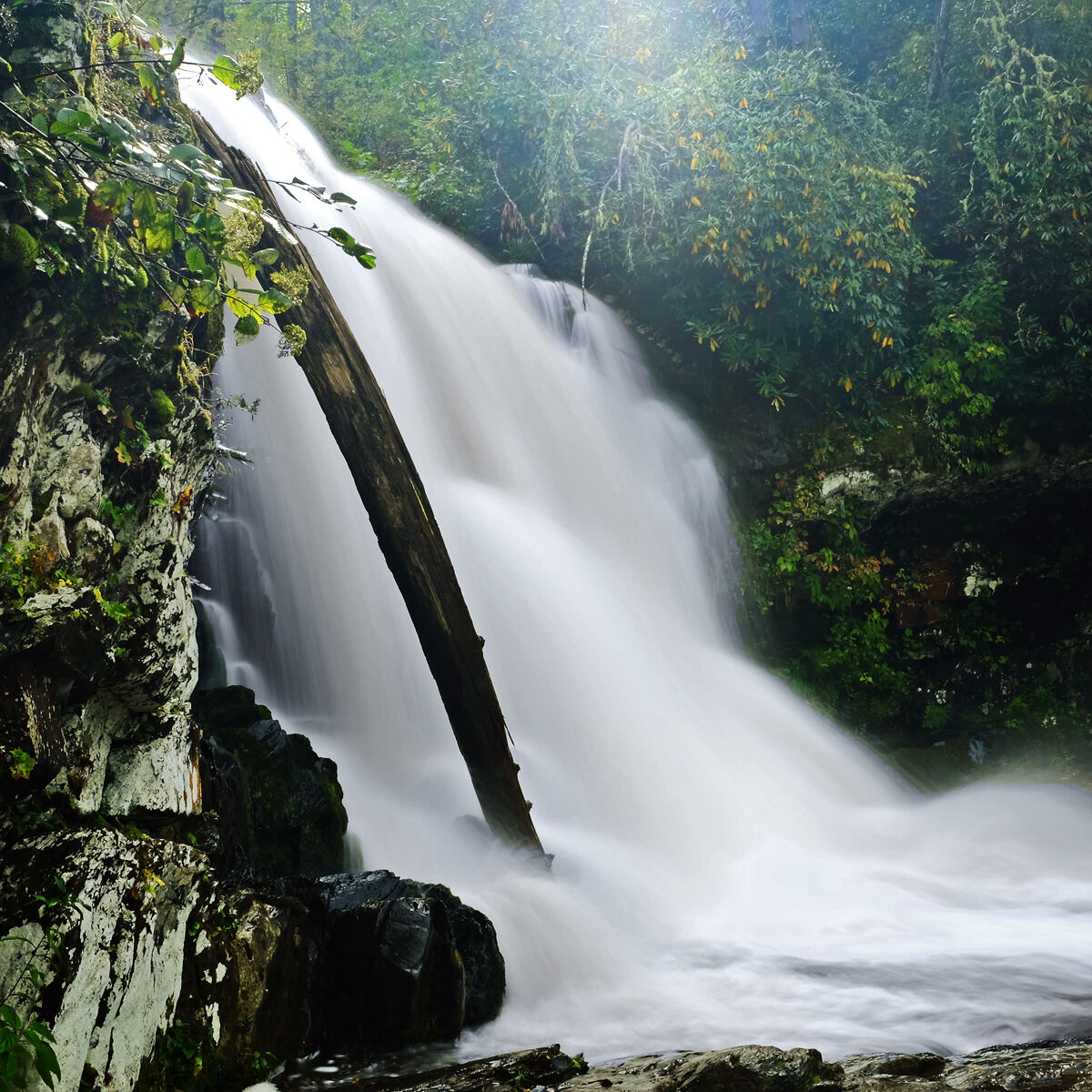 Abrams Falls in Cades Cove