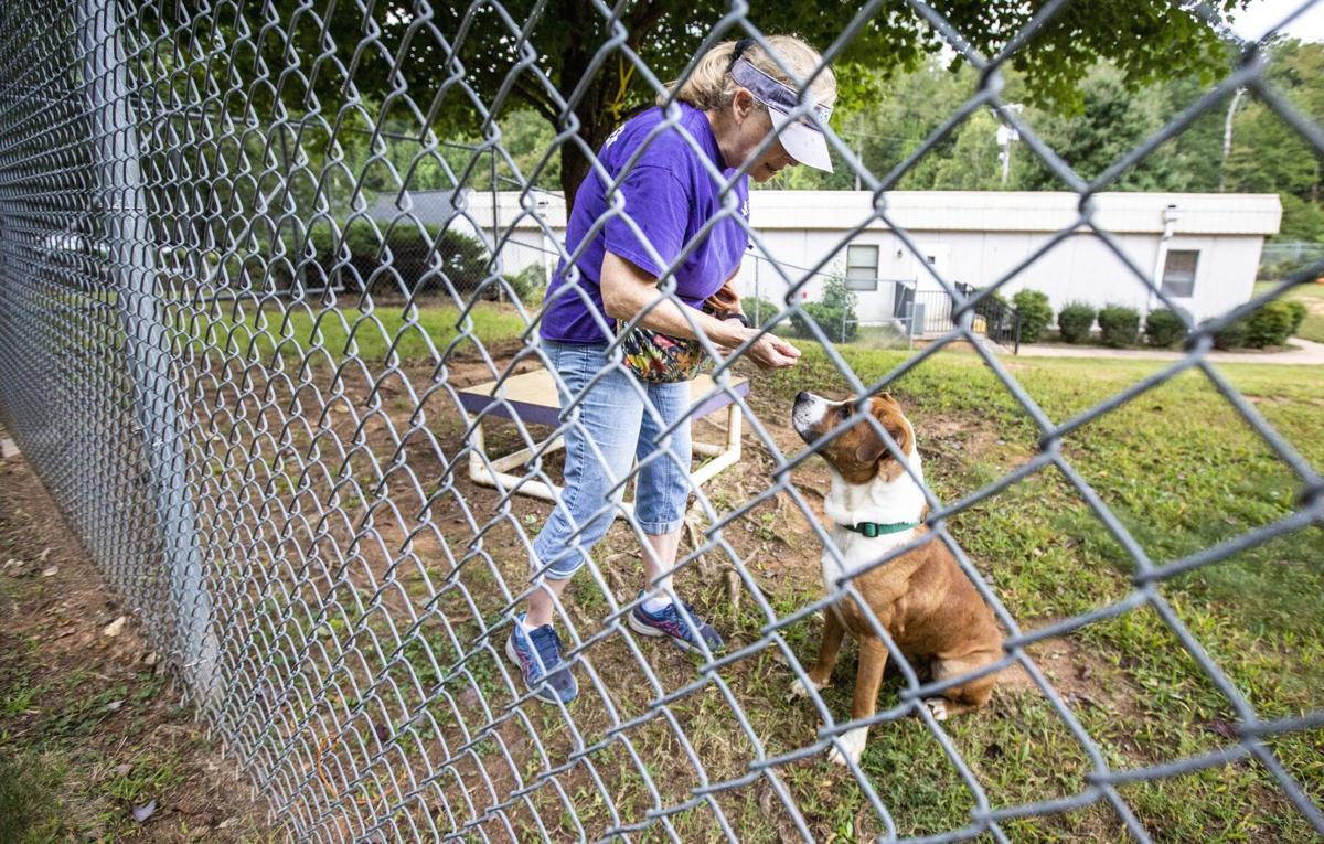 Photos 'Empty the Shelters' event in Guilford County