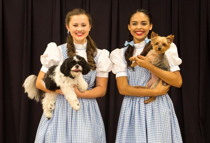 CTG Wizard of Oz (Horizontal for web)