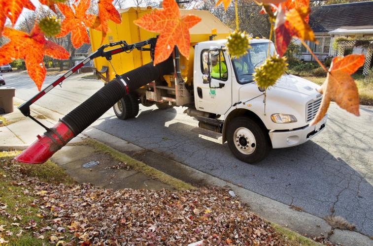 Leaf Collection System