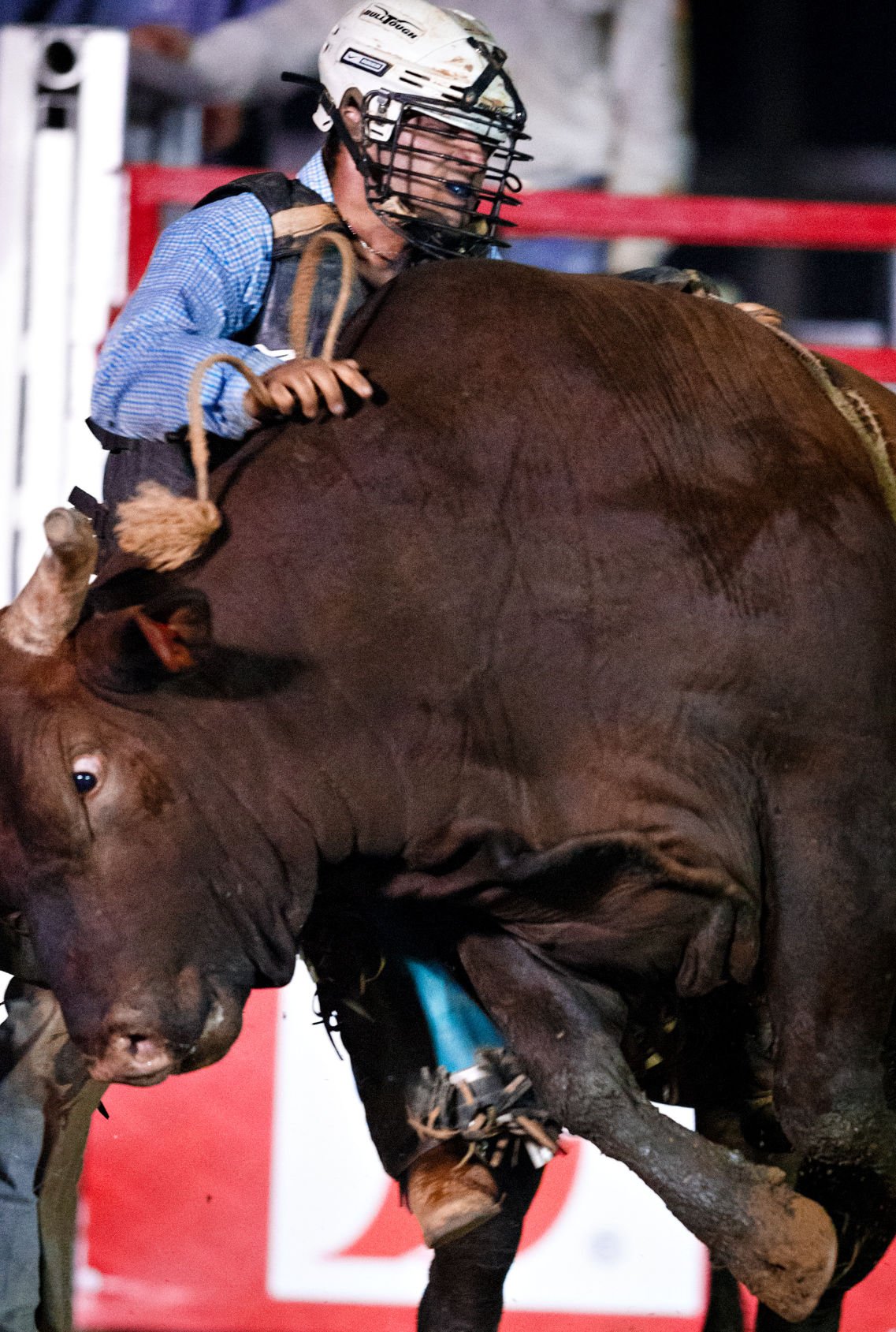 Pro Rodeo Bull Riding Gallery