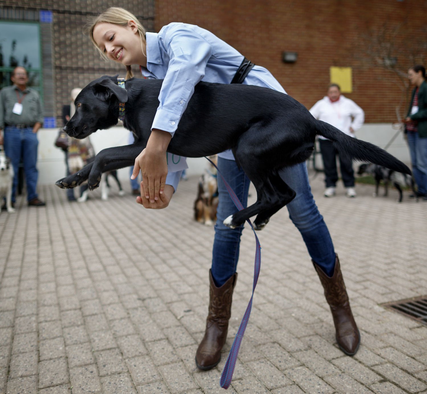 Pooches Pirouette for Ballet Audition