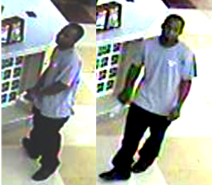 Greensboro police search for Food Lion robbery suspect