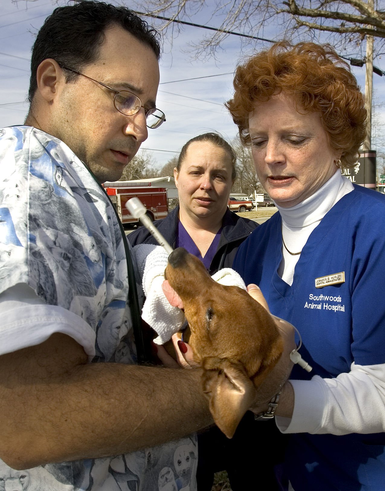 Pets staff OK after fire at veterinary hospital