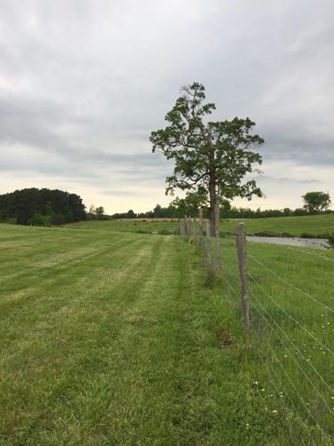 County Farm