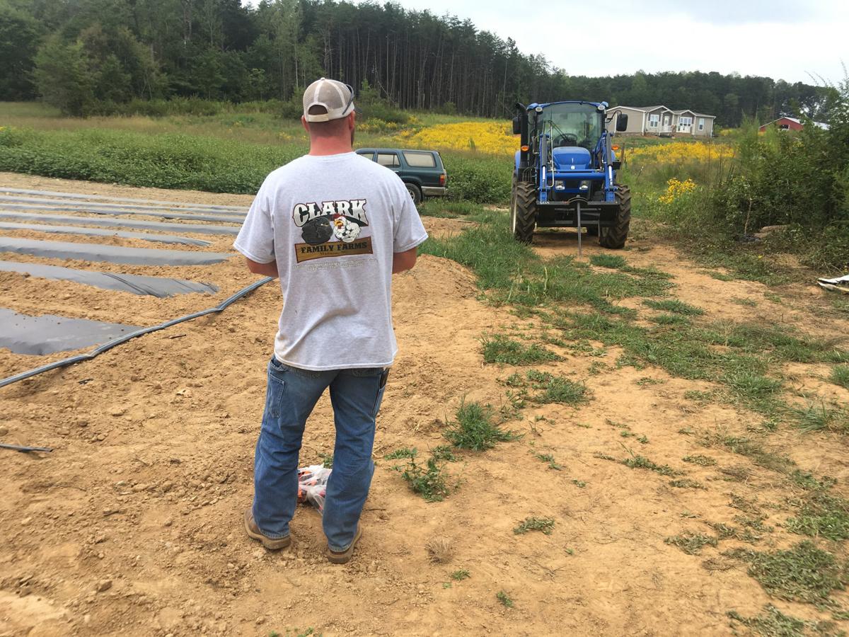 For N C S Young Farmers It S More About The Lifestyle Than The Living Local News Greensboro Com