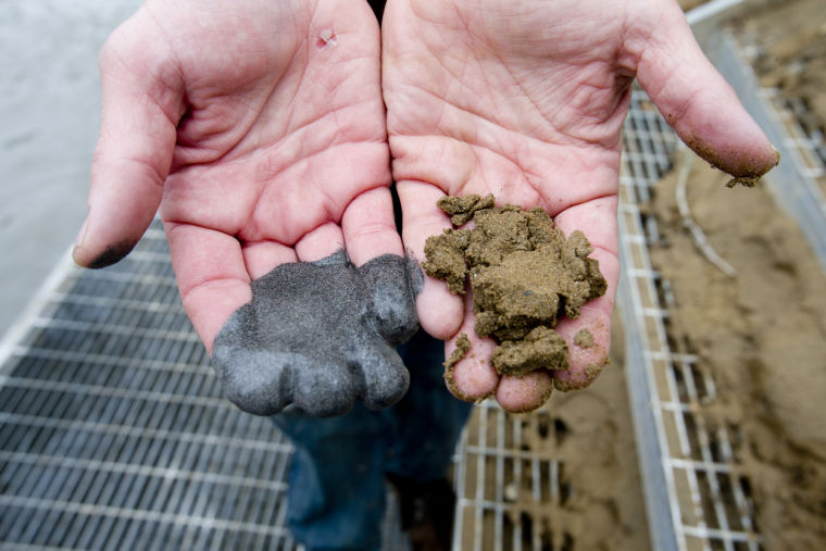 Coal ash spill: Dan River impact