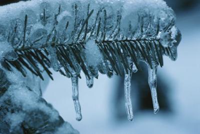 Blizzard Warning For Northeastern North Carolina Ap North