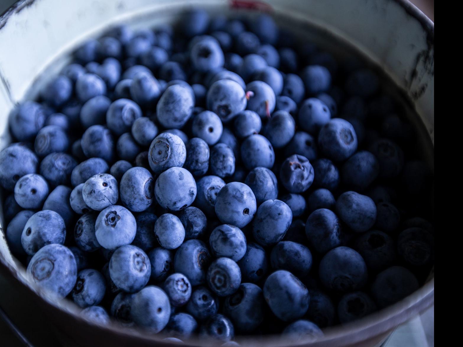 Grandville Blueberry Festival 2022