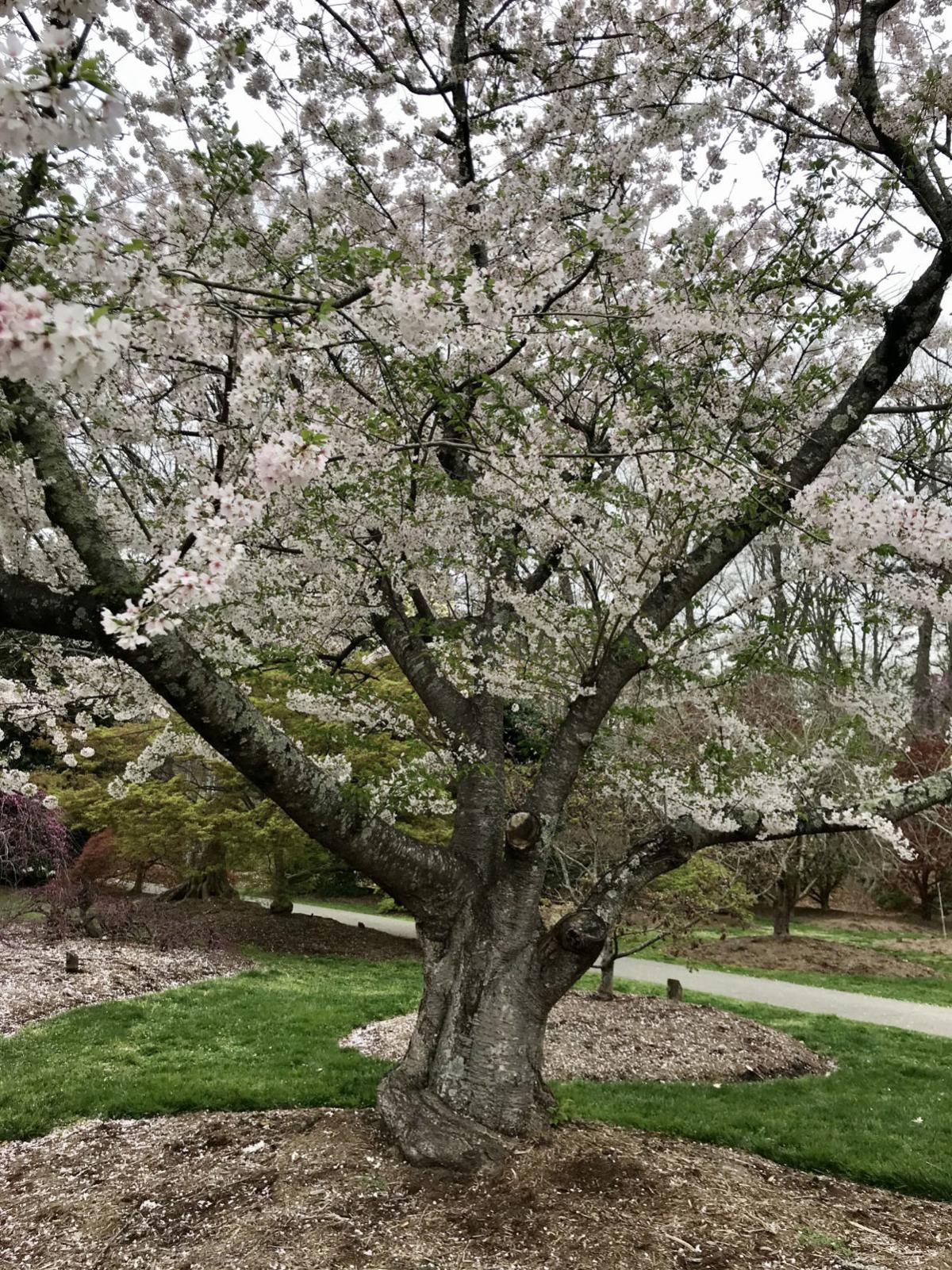 Photos Even More Spring Photos To Brighten Your Day Gallery
