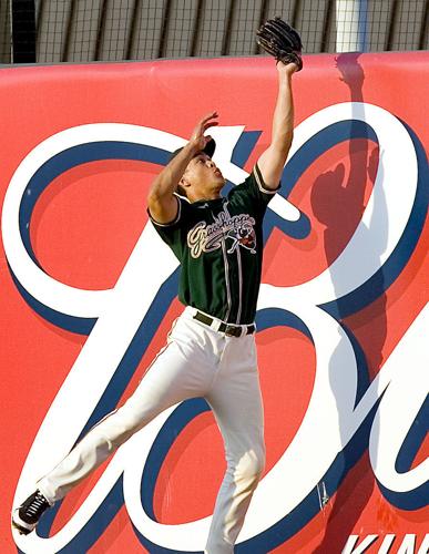 Hoppers Mike Stanton catch (copy)