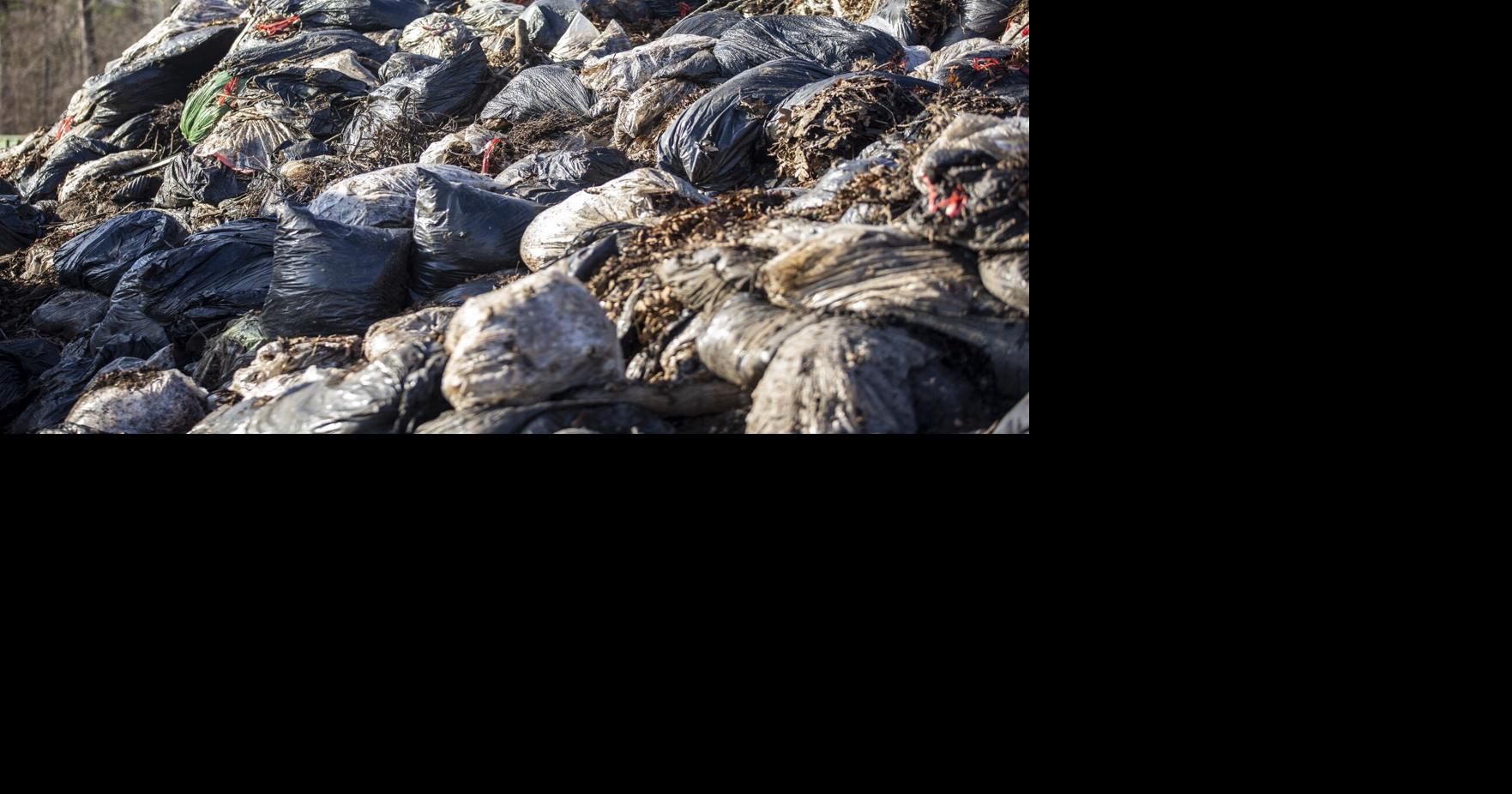 Greensboro set to approve purchase of 75,000 yard waste carts