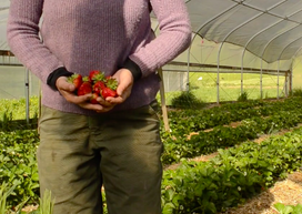 Piedmont Women in Agriculture
