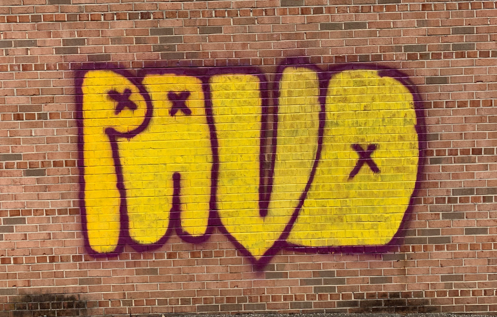 Vandals Spray Obscene Term On Reidsville Businesses Latest News Greensboro Com