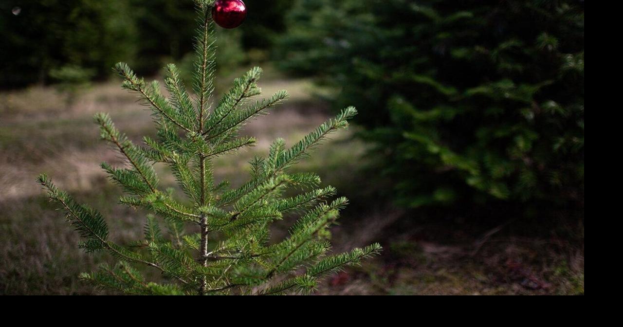 Financial anxiety spikes during the holidays: 6 expert coping strategies