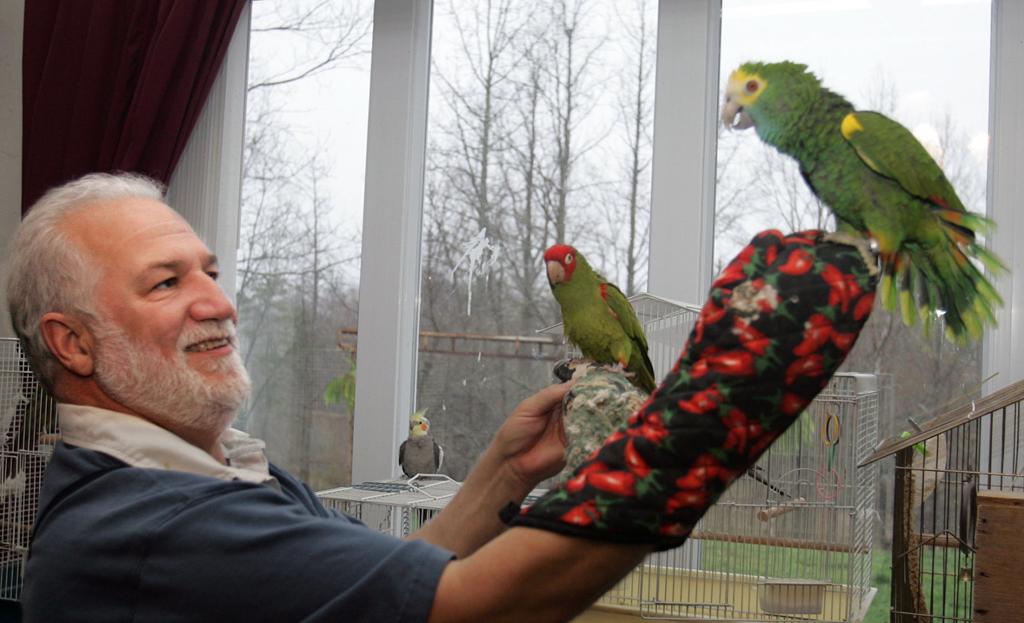 craigslist birds for sale in nc