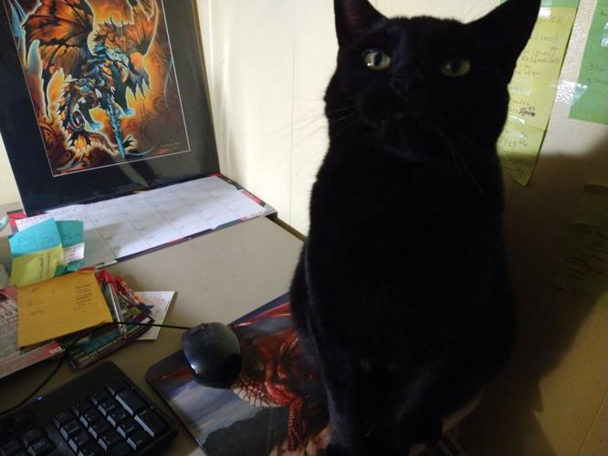Nigel asks for attention