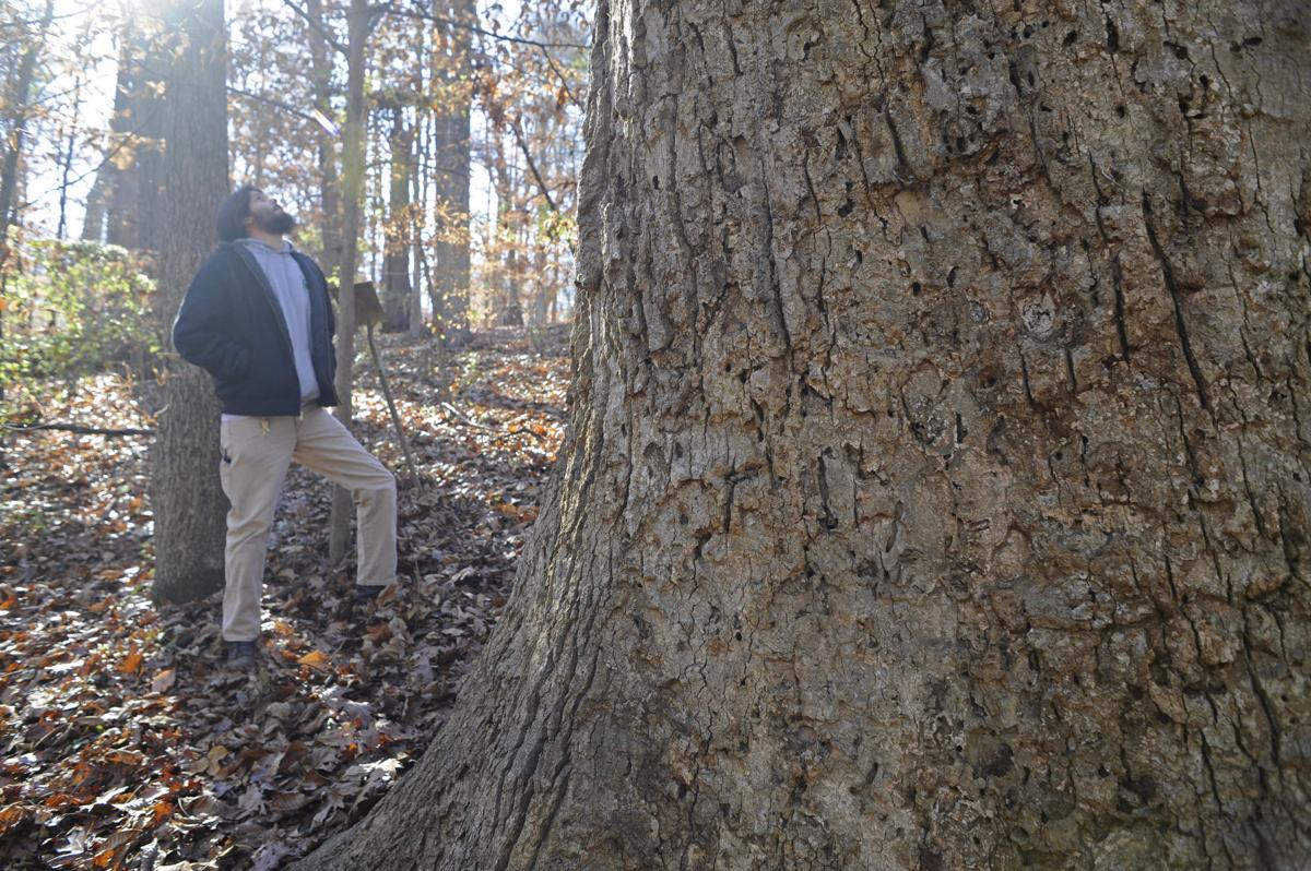 Sustainable-trail building class at Guilford College