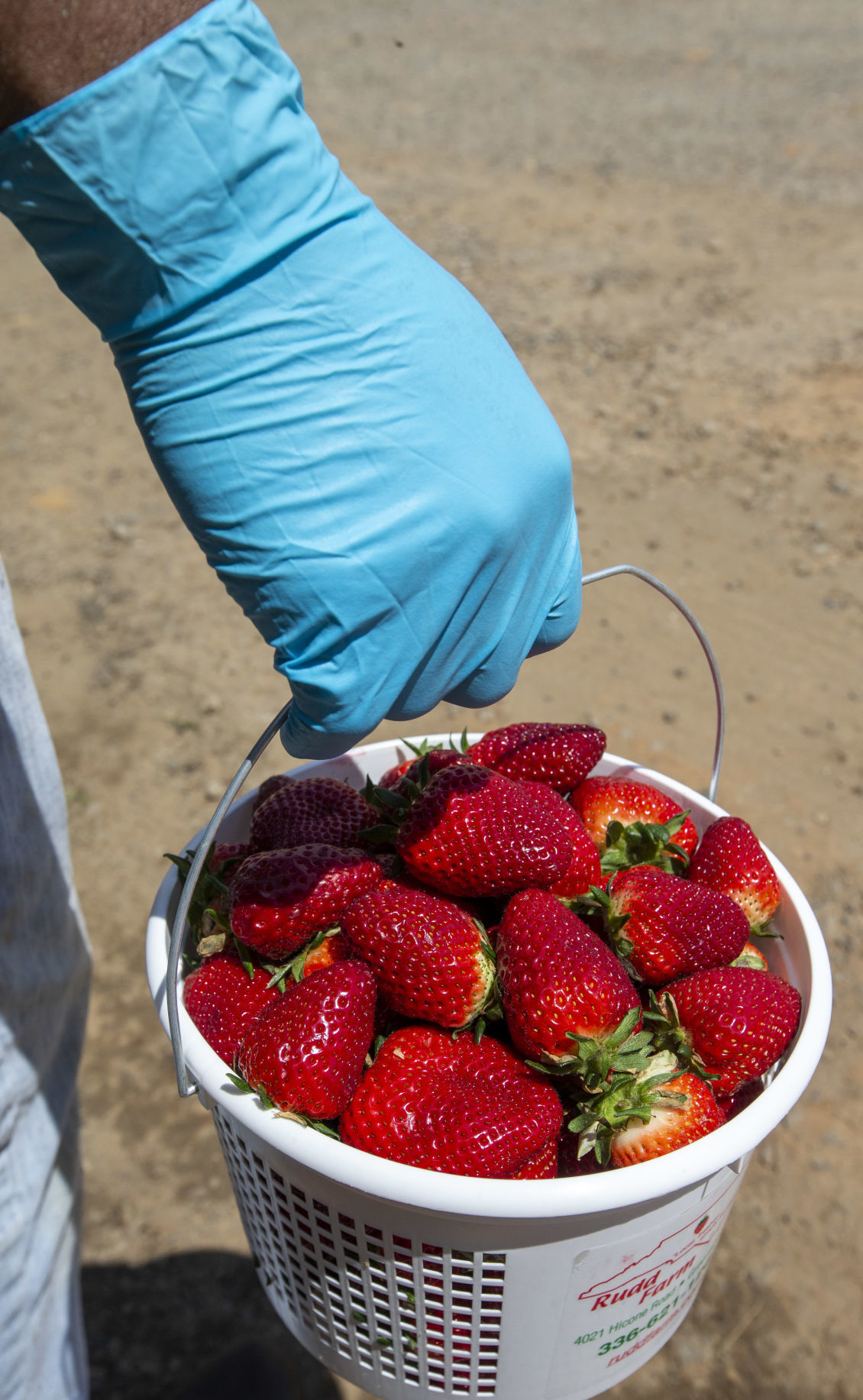 Rudd Farm Temporarily Is Closed After Eight Workers Test Positive For Covid 19 Local News Greensboro Com