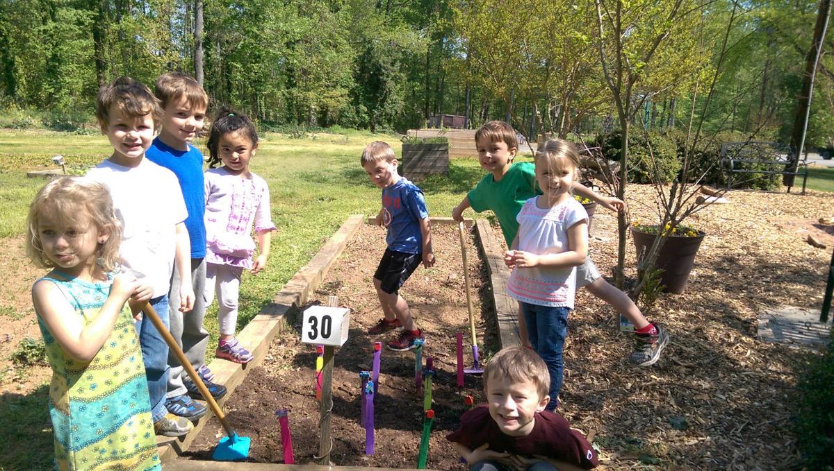 St. Francis Day School students plant marigold seedling starters