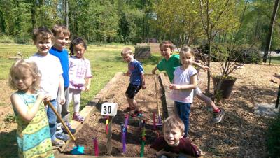 St. Francis Day School students plant marigold seedling starters
