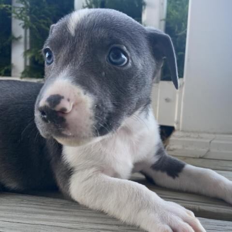 George