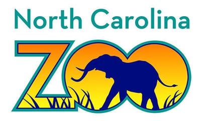help n c zoo name the wild polar bear it recently adopted blog