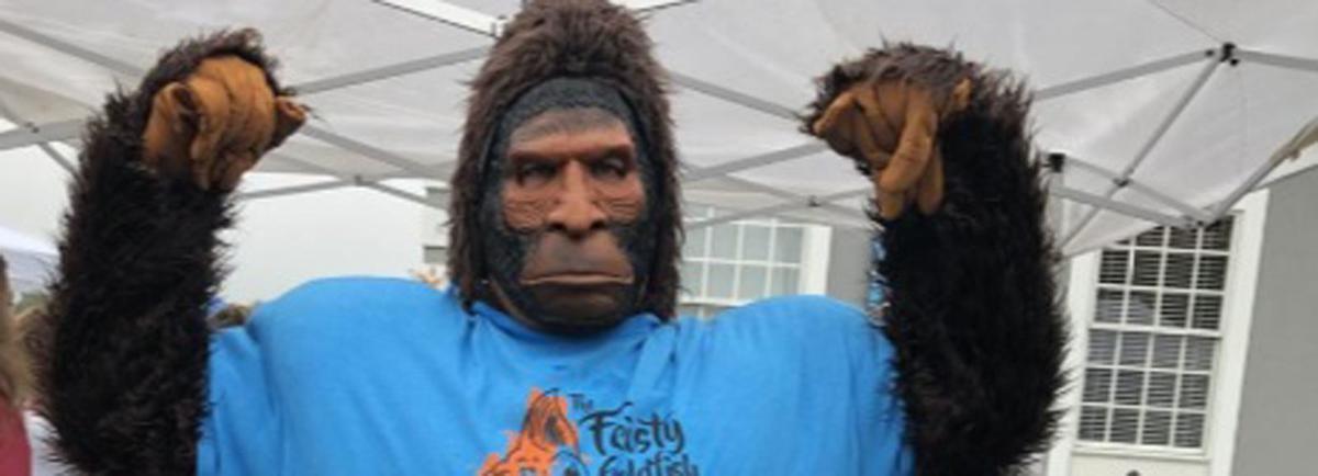 Celebrating Sasquatch: Tens of thousands expected to attend WNC