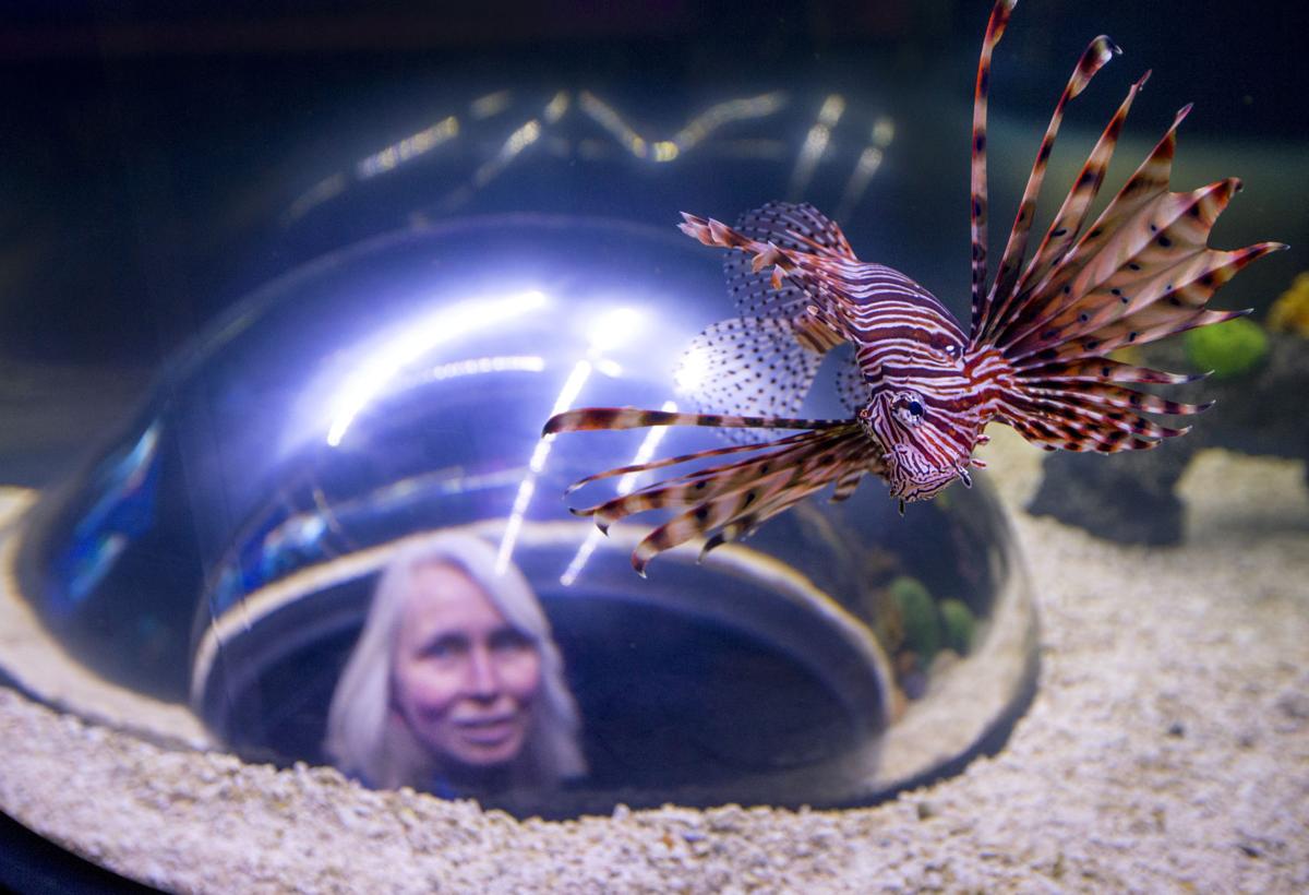 Wiseman Aquarium expansion at Greensboro Science Center
