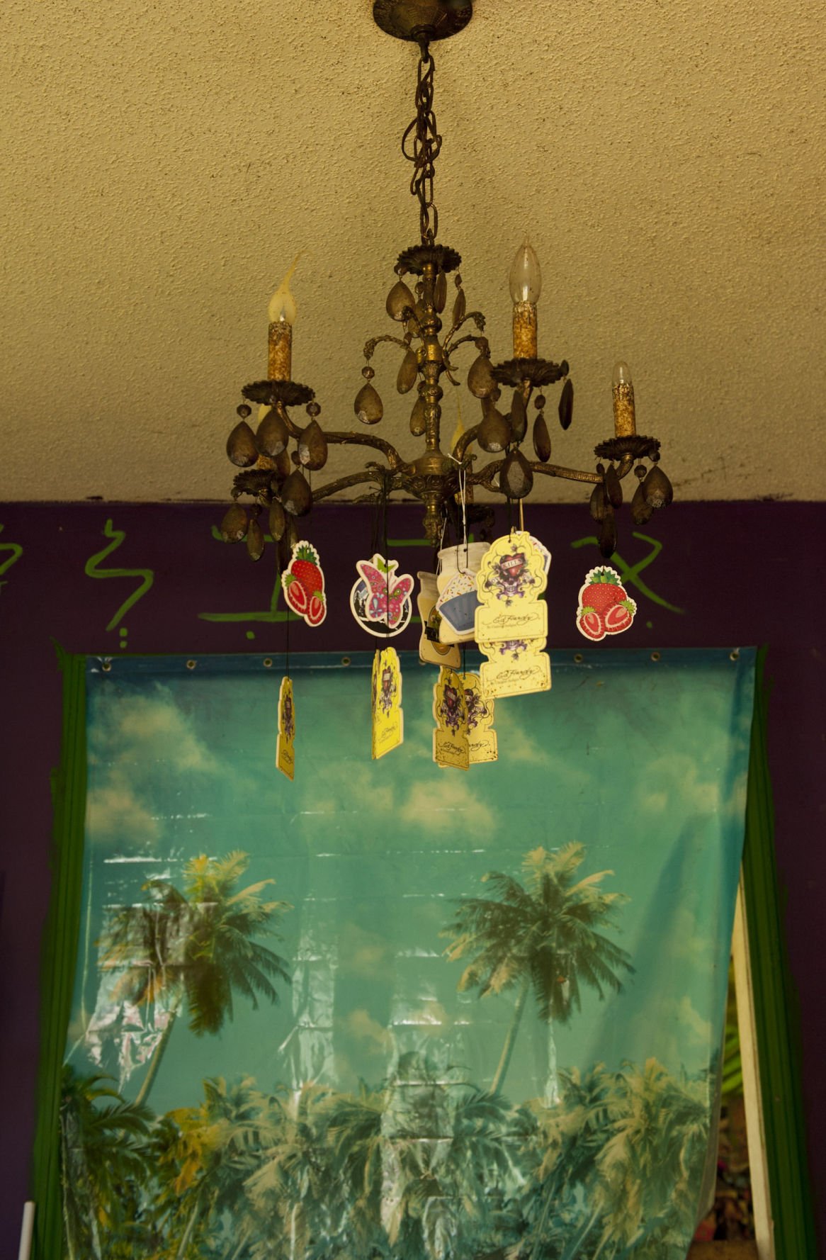 pazuzu algarad house